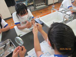 IMG_1778_R.JPG