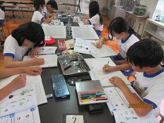 IMG_1780_R.JPG