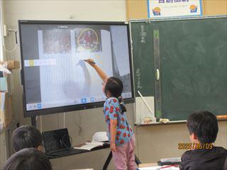 IMG_1784_R.JPG