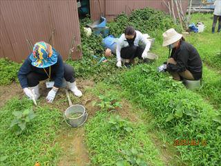 IMG_1833_R.JPG