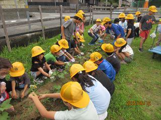 IMG_1836_R.JPG