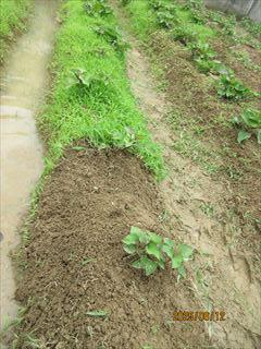 IMG_1839_R.JPG