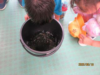 IMG_1852_R.JPG