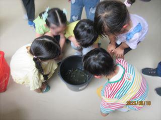 IMG_1854_R.JPG