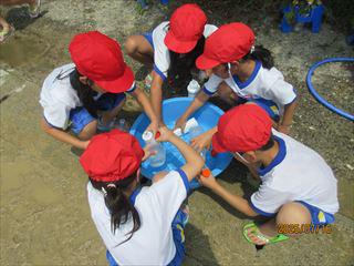 IMG_2052_R.JPG
