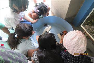 IMG_2085_R.JPG