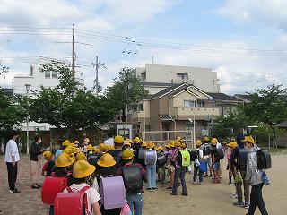 IMG_2089.jpg