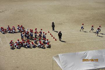 IMG_2199_R.JPG