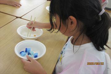 IMG_2218_R.JPG