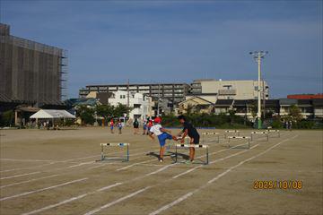 IMG_2431_R.JPG