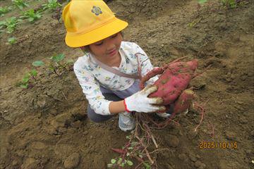 IMG_2492_R.JPG
