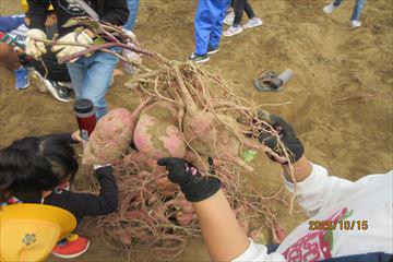 IMG_2494_R.JPG