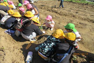 IMG_2509_R.JPG