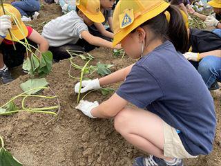 IMG_2780_R.jpg