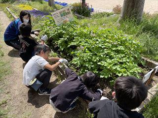 IMG_3038_R.jpg