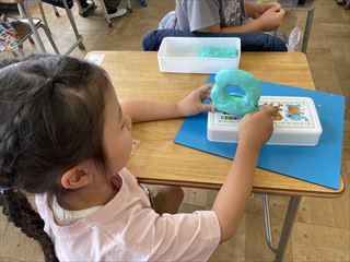 IMG_3062_R.jpg