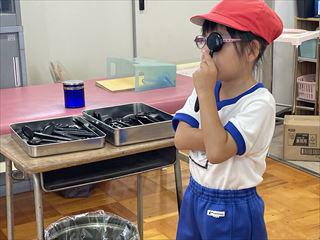 IMG_3118_R.jpg