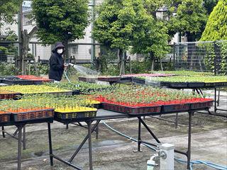 IMG_3180_R.jpg