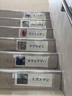 IMG_3404_R.jpg