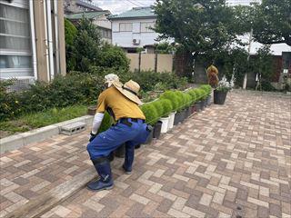 IMG_3535_R.jpg