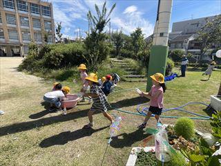IMG_3585_R.jpg