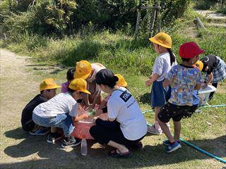 IMG_3587_R.jpg