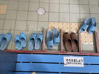 IMG_3617_R.jpg