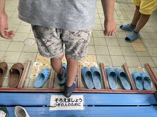 IMG_3633_R.jpg