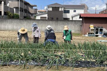 IMG_3717_R.jpg