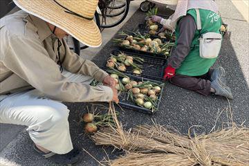 IMG_4005_R.jpg