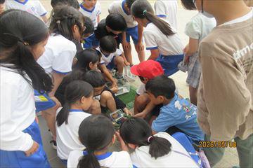 IMG_4022_R.JPG
