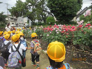 IMG_4140_R.JPG