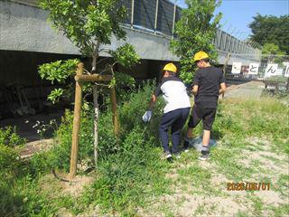 IMG_4212_R.JPG