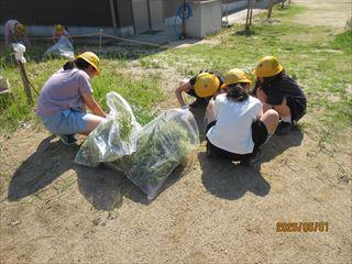 IMG_4213_R.JPG