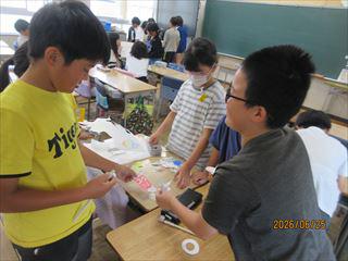 IMG_4303_R.JPG