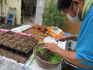 IMG_4309_R.JPG
