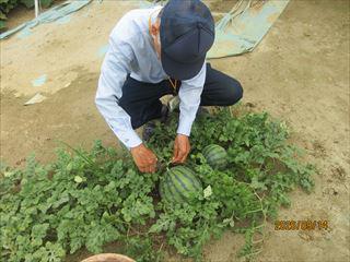 IMG_4472_R.JPG