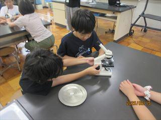 IMG_4474_R.JPG