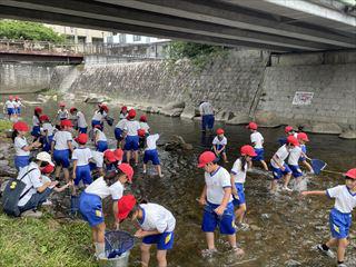 IMG_4715_R.jpg