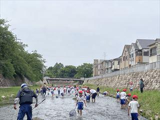 IMG_4717_R.jpg