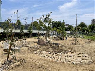 IMG_4996_R.jpg