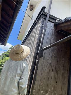 IMG_5896_R.jpg