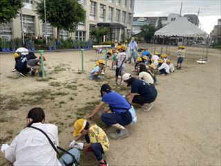 IMG_6694_R.jpg