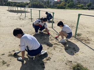 IMG_6721_R.jpg