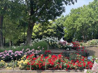 IMG_6821_R.jpg