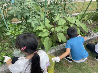 IMG_7115_R.jpg