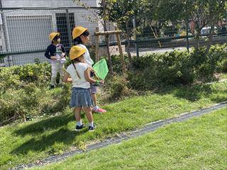 IMG_7226_R.jpg