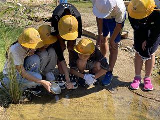 IMG_7528_R.jpg