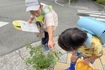 IMG_9246_R.jpg
