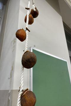 IMG_9475_R.jpg